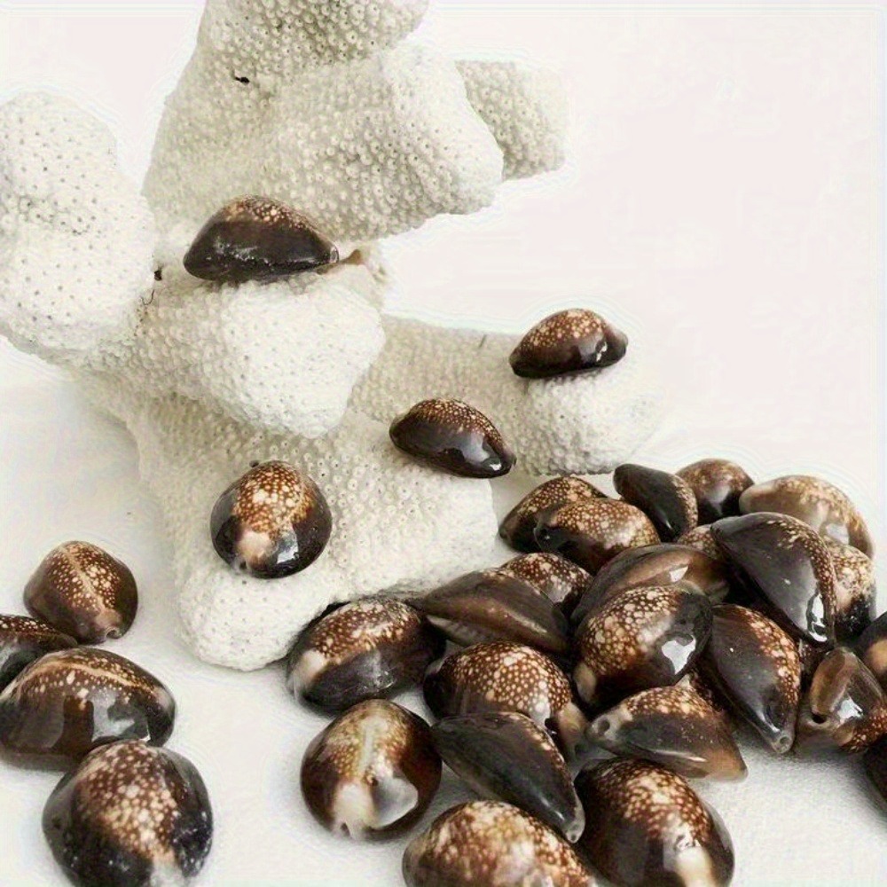 10Pcs Natural Brown Cowrie She - Resin Art Ocean incelemesi ve fiyatı
