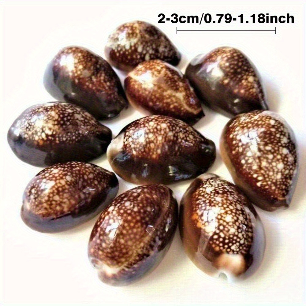 10Pcs Natural Brown Cowrie She - Resin Art Ocean incelemesi ve fiyatı